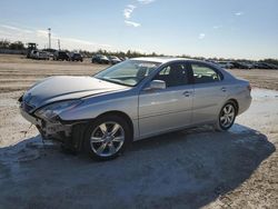 2005 Lexus ES 330 for sale in Arcadia, FL