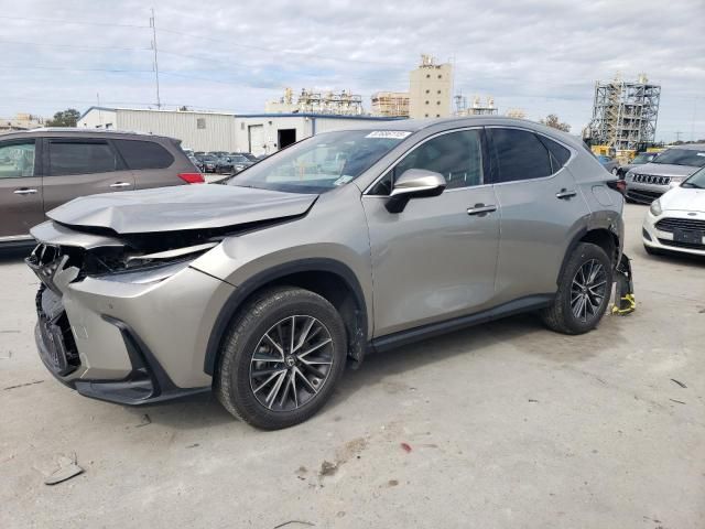 2024 Lexus NX 250 Premium