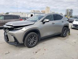 2024 Lexus NX 250 Premium for sale in New Orleans, LA