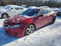 Honda salvage cars for sale: 2009 Honda Accord EXL