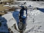 2022 Vespa PRIMAVERA/SPRINT 50