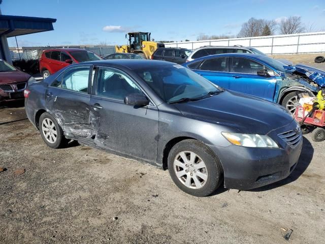 2009 Toyota Camry Hybrid