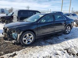 Salvage cars for sale from Copart Cicero, IN: 2012 Chevrolet Malibu LS