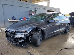 Tesla Model 3 salvage cars for sale: 2024 Tesla Model 3