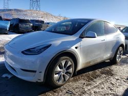 2022 Tesla Model Y for sale in Littleton, CO