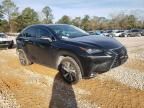 2020 Lexus NX 300