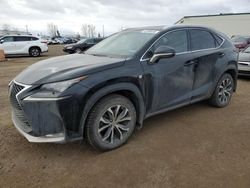 2015 Lexus NX 200T for sale in Rocky View County, AB