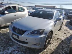 Lexus salvage cars for sale: 2010 Lexus IS 250