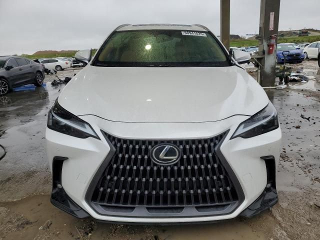 2024 Lexus NX 250 Premium