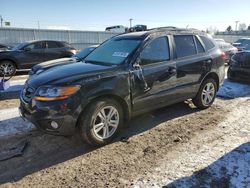 Hyundai Santa fe salvage cars for sale: 2010 Hyundai Santa FE SE