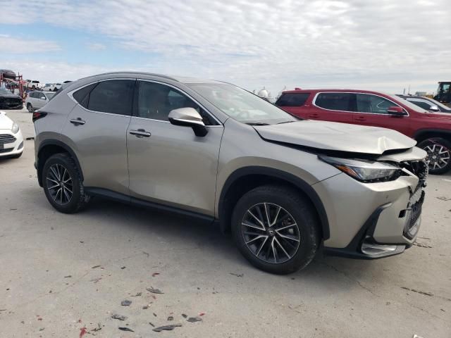 2024 Lexus NX 250 Premium