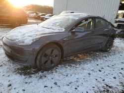 2023 Tesla Model 3 for sale in Windsor, NJ