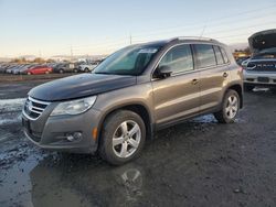 Volkswagen Vehiculos salvage en venta: 2010 Volkswagen Tiguan SE