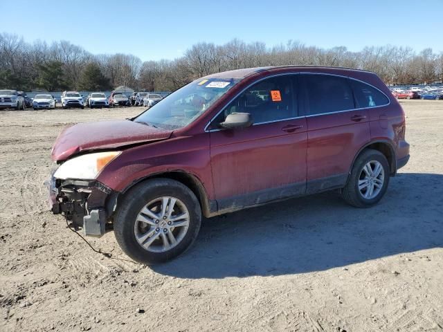 2010 Honda CR-V EXL