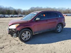 Honda crv salvage cars for sale: 2010 Honda CR-V EXL