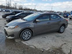 2019 Toyota Corolla L for sale in Lawrenceburg, KY