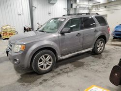 2008 Ford Escape XLT for sale in Ottawa, ON