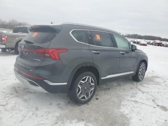 2023 Hyundai Santa FE SEL Premium