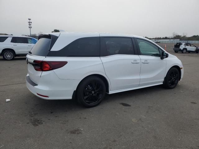 2024 Honda Odyssey Sport