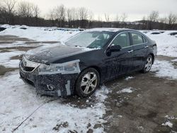 2011 Acura TSX for sale in Marlboro, NY