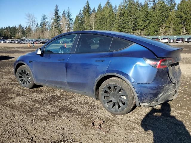 2020 Tesla Model Y