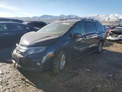 Honda Odyssey exl salvage cars for sale: 2018 Honda Odyssey EXL