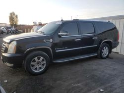 Cadillac Vehiculos salvage en venta: 2008 Cadillac Escalade ESV