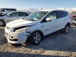 2014 Ford Escape SE for sale in Magna, UT