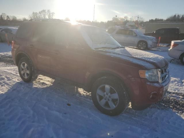 2011 Ford Escape Limited