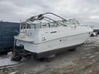 1998 Mariah 150 Motor