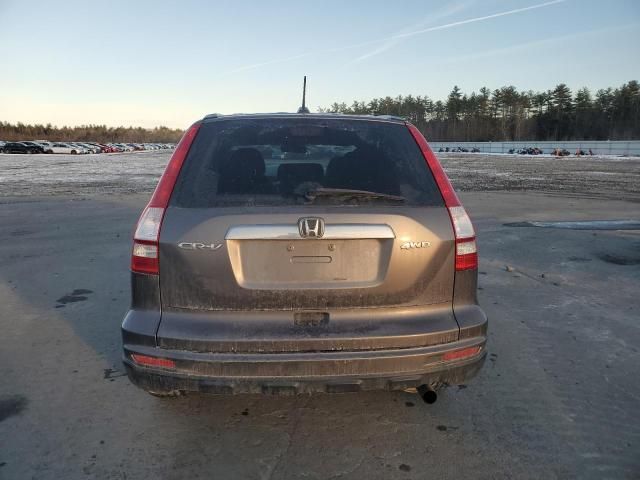 2010 Honda CR-V EXL