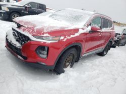 Hyundai salvage cars for sale: 2020 Hyundai Santa FE SEL