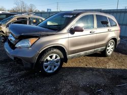 Salvage cars for sale from Copart Chicago Heights, IL: 2009 Honda CR-V EXL