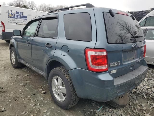 2011 Ford Escape XLT