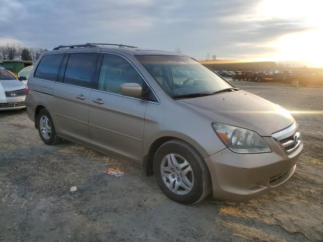 2005 Honda Odyssey EXL