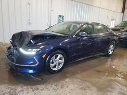 Hyundai salvage cars for sale: 2021 Hyundai Sonata SE