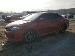 Toyota Corolla salvage cars for sale: 2013 Toyota Corolla Base