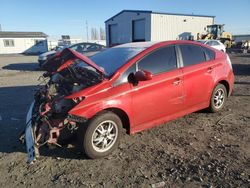 Toyota salvage cars for sale: 2010 Toyota Prius