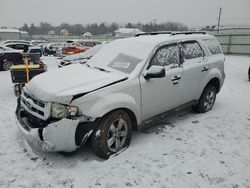 Salvage cars for sale from Copart Pennsburg, PA: 2009 Ford Escape XLT