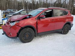 Toyota salvage cars for sale: 2014 Toyota Rav4 XLE