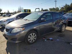 Toyota salvage cars for sale: 2009 Toyota Corolla Base