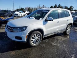 Volkswagen Tiguan salvage cars for sale: 2014 Volkswagen Tiguan S