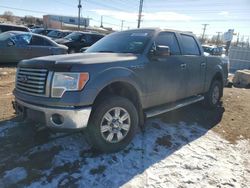 Ford salvage cars for sale: 2012 Ford F150 Supercrew