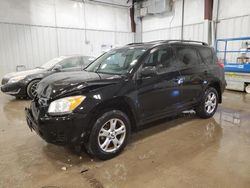 Toyota salvage cars for sale: 2012 Toyota Rav4