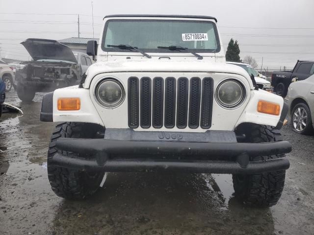 2002 Jeep Wrangler / TJ X