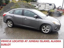 Ford Focus salvage cars for sale: 2013 Ford Focus SE