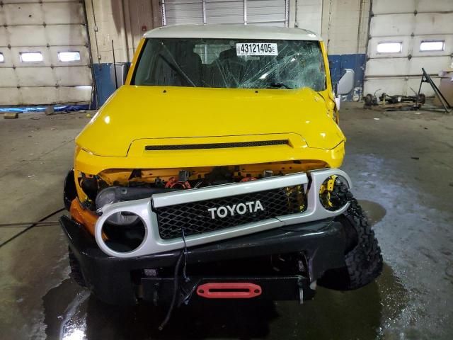 2010 Toyota FJ Cruiser