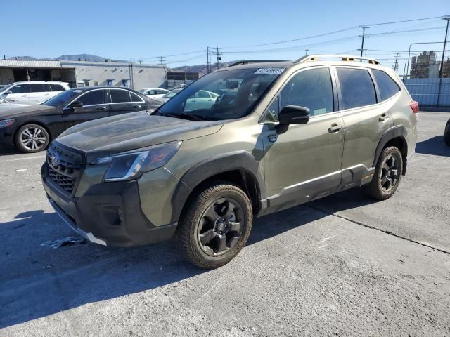 2024 Subaru Forester Wilderness