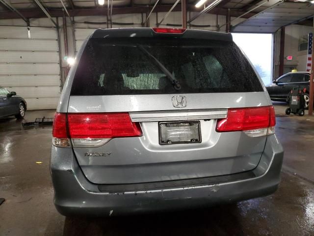 2008 Honda Odyssey EXL