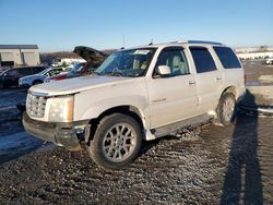 Cadillac Escalade salvage cars for sale: 2005 Cadillac Escalade Luxury